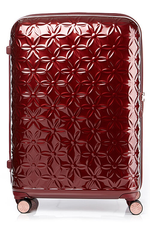 THEONI 캐리어 75/28 EXP