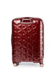 THEONI 캐리어 75/28 EXP  hi-res | Samsonite