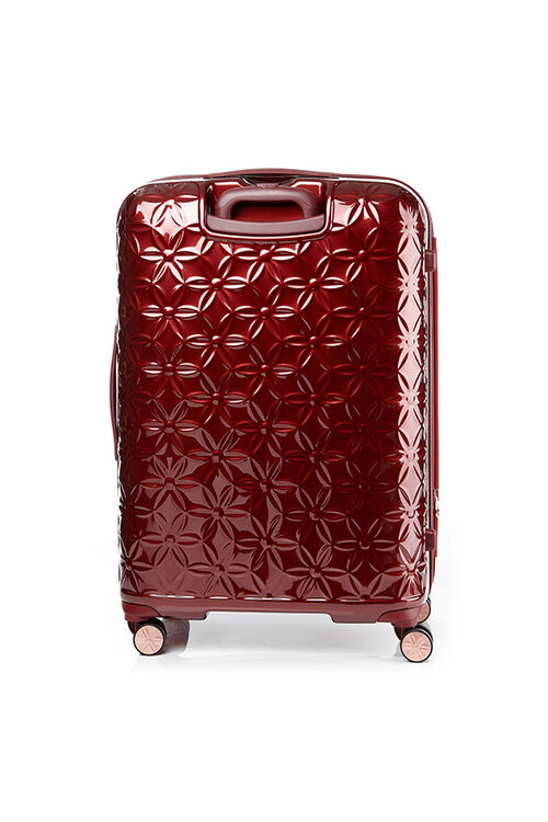 THEONI 캐리어 75/28 EXP