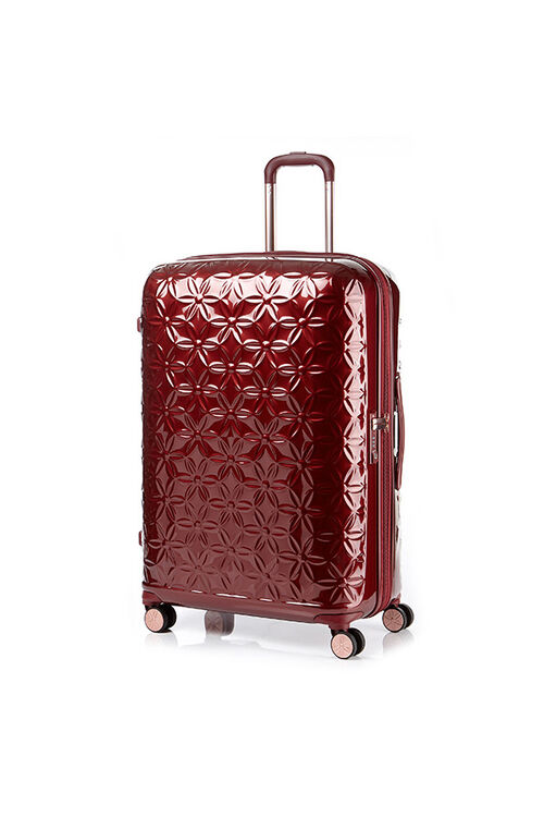 THEONI 캐리어 75/28 EXP  hi-res | Samsonite