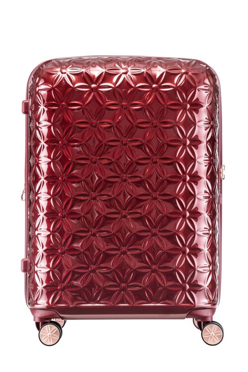 THEONI 캐리어 66/24 EXP