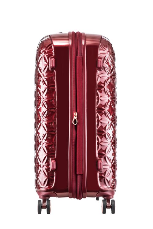 THEONI 캐리어 66/24 EXP