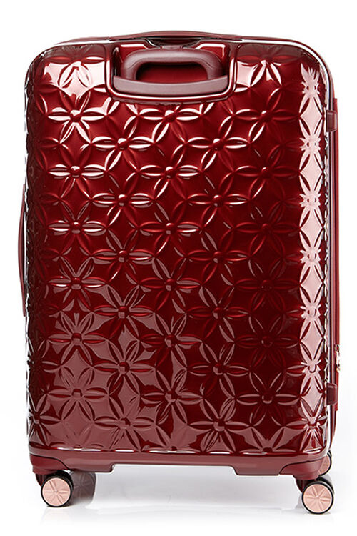 THEONI 캐리어 75/28 EXP