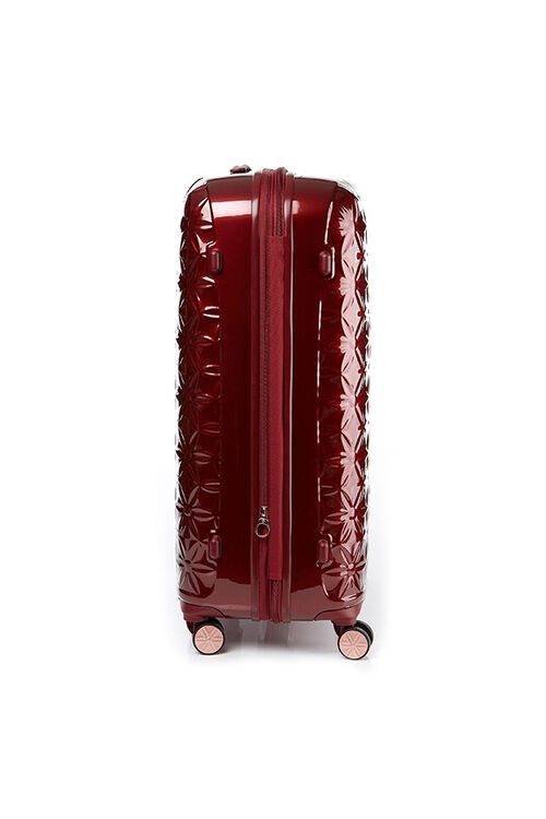 THEONI 캐리어 75/28 EXP