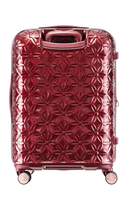 THEONI 캐리어 66/24 EXP