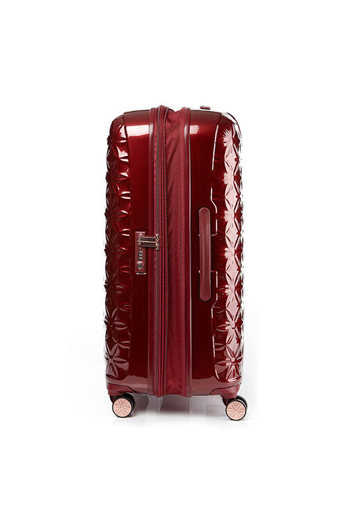 THEONI 캐리어 75/28 EXP