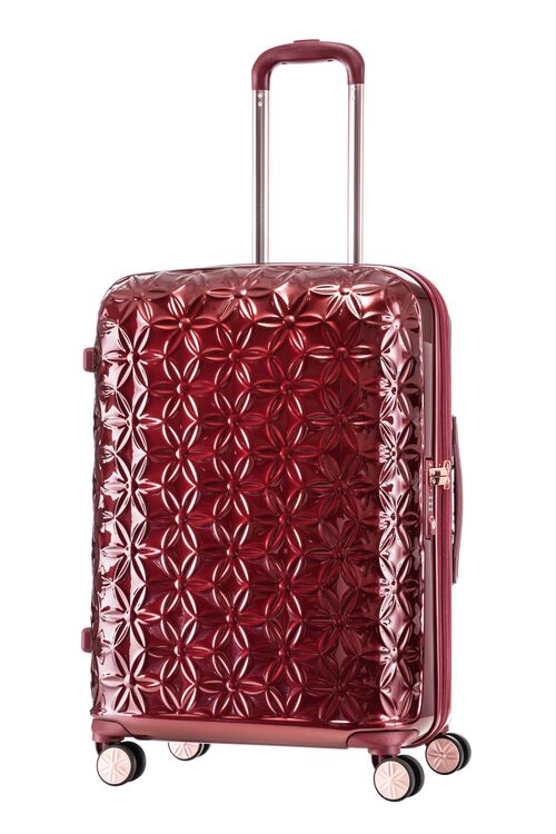 THEONI 캐리어 66/24 EXP