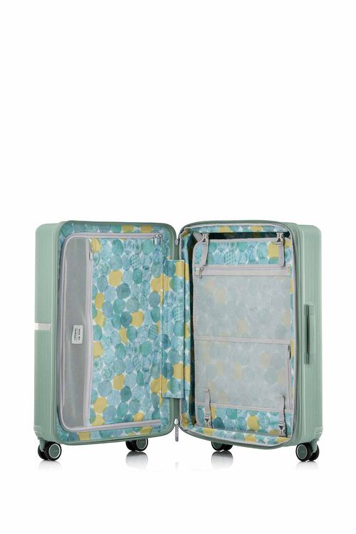 SEOUL COLLECTION MINTER 서울 컬렉션 민터 캐리어 69/25 EXP SEOUL
