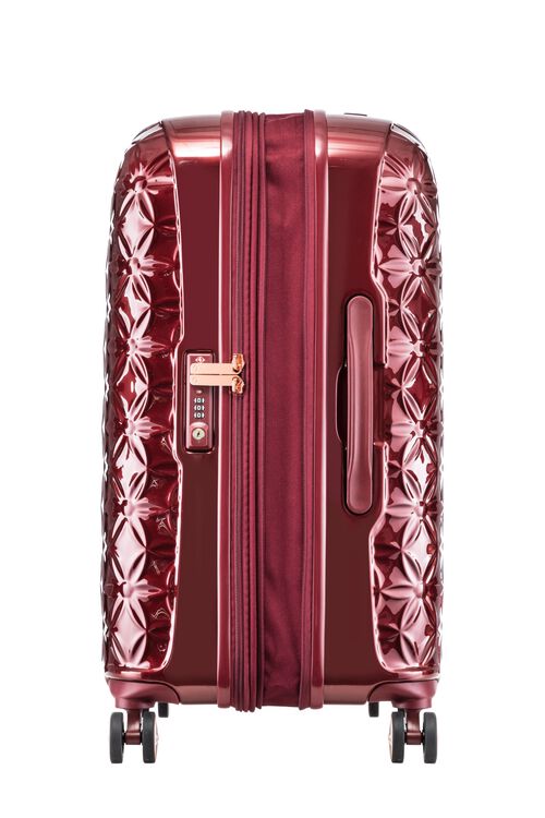 THEONI 캐리어 66/24 EXP