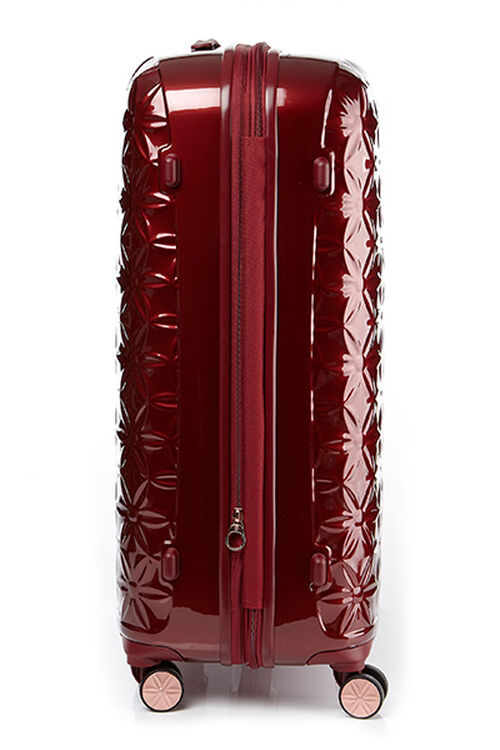 THEONI 캐리어 75/28 EXP