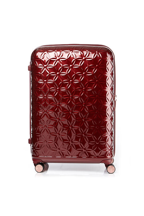 THEONI 캐리어 75/28 EXP  hi-res | Samsonite