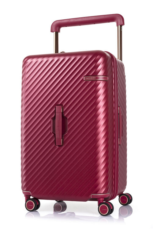 STEM 스템 캐리어 70/26 트렁크  hi-res | Samsonite