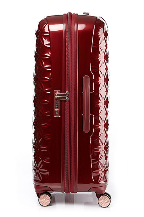 THEONI 캐리어 75/28 EXP