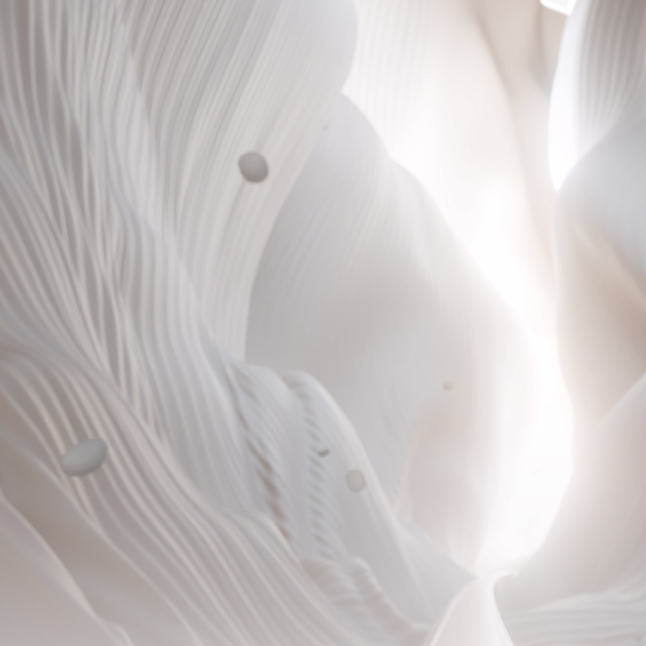 GOING BEYOND | Smoothening