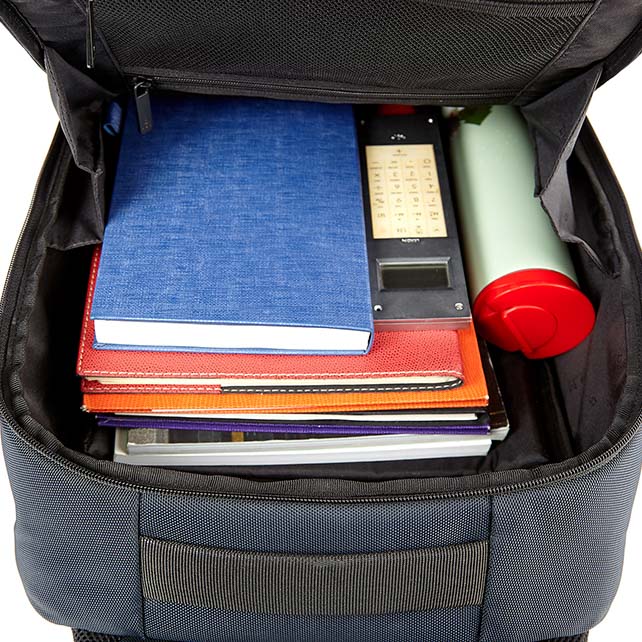 WAVELEY 웨이블리 백팩