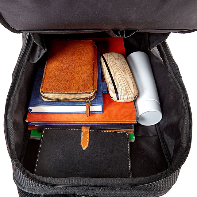 BOLINE 볼린 백팩